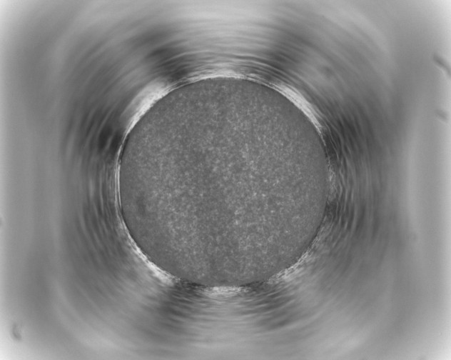 X0000093461290200711021127