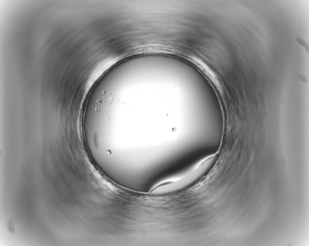 X0000093461293200711021127