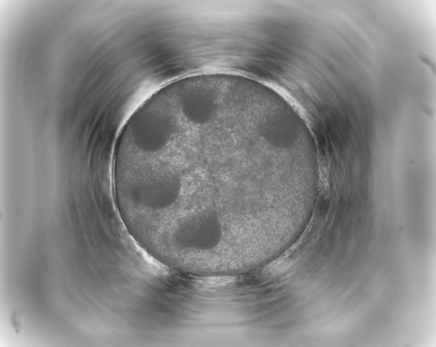 X0000093461294200711021127