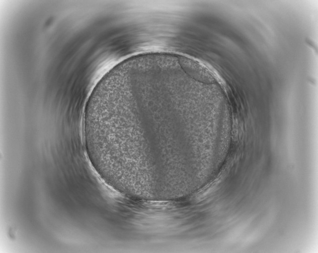 X0000093461295200711021127