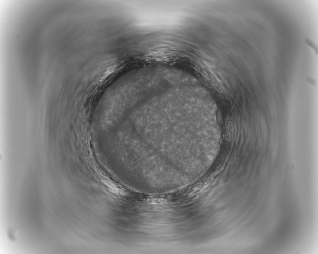 X0000093461297200711021126