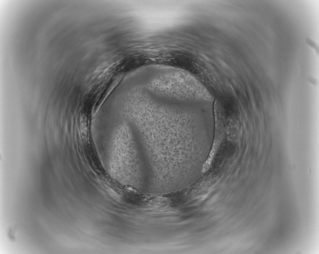 X0000093461298200711021126