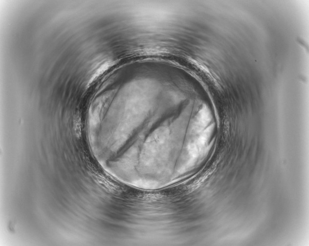 X0000093461306200711021126