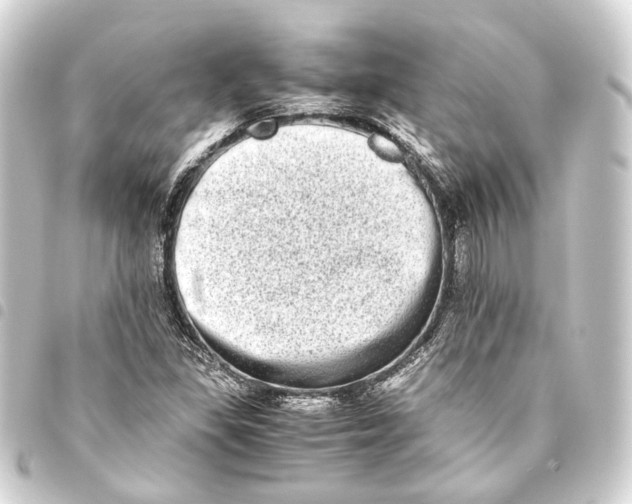 X0000093461309200711021126