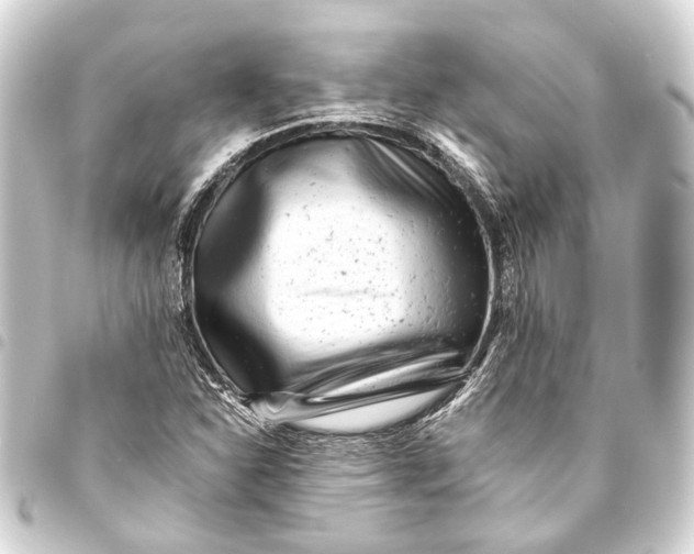 X0000093461310200711021126