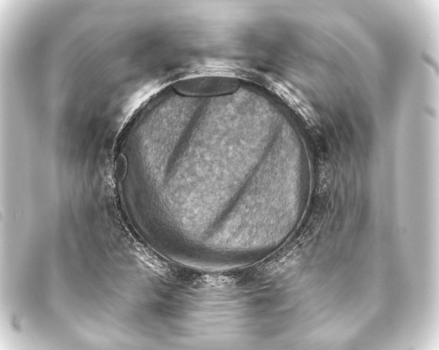 X0000093461312200711021126