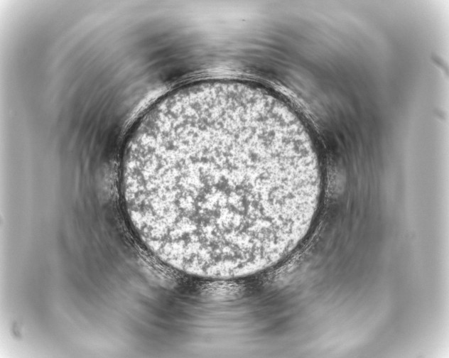 X0000093461314200711021126