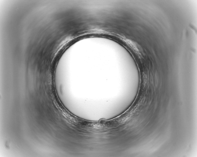 X0000093461318200711021126