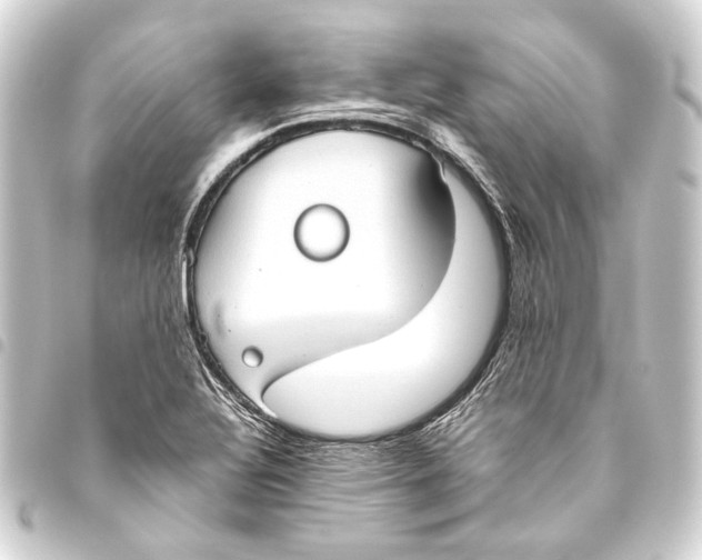 X0000093461320200711021126