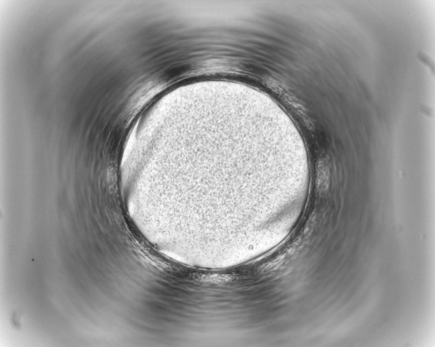 X0000093461321200711021126