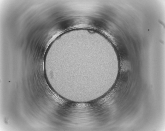 X0000093461322200711021126