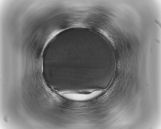 X0000093461323200711021126