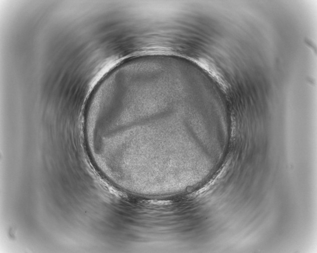 X0000093461325200711021126