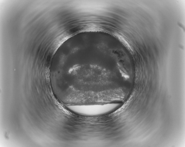 X0000093461329200711021126