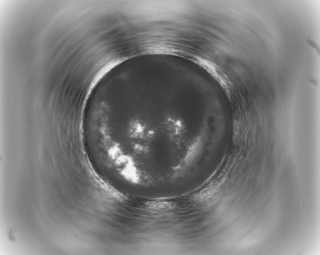 X0000093461331200711021126