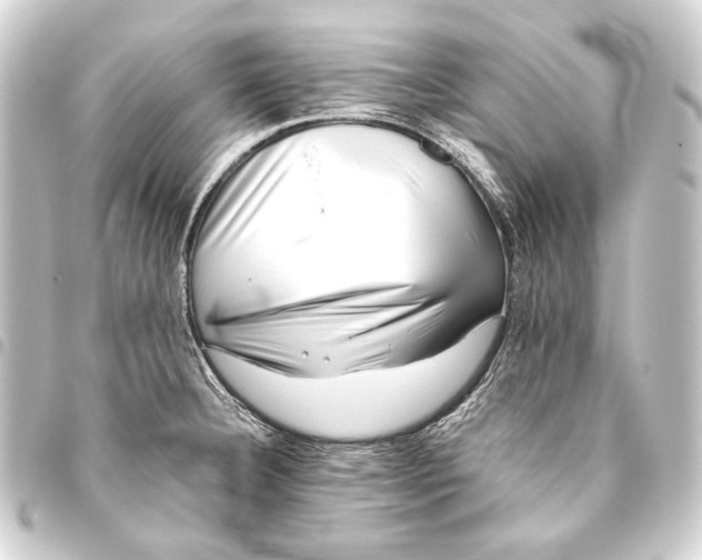 X0000093461332200711021126