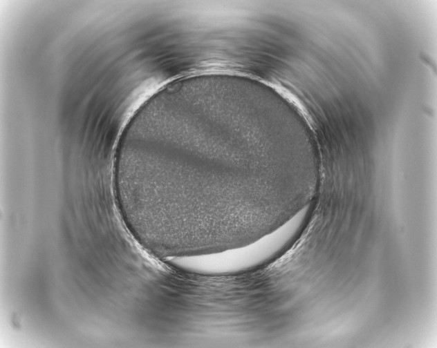 X0000093461333200711021126