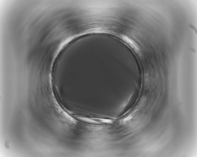 X0000093461334200711021126