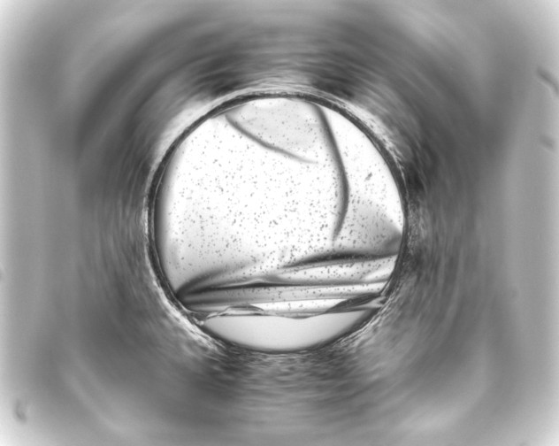 X0000093461335200711021126