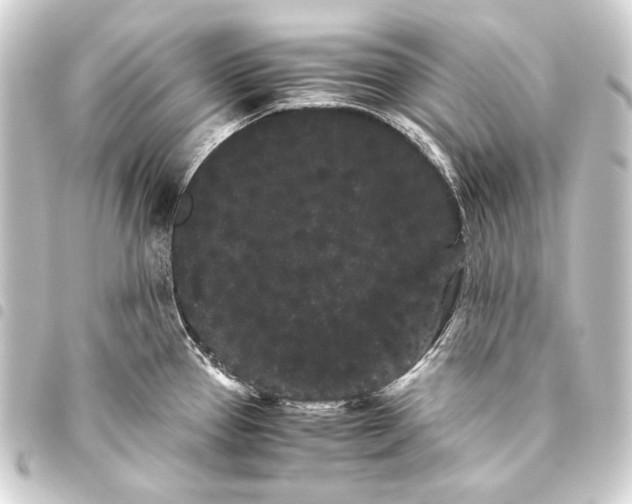 X0000093461337200711021127