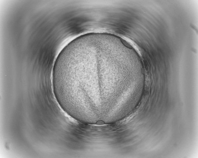 X0000093461343200711021127