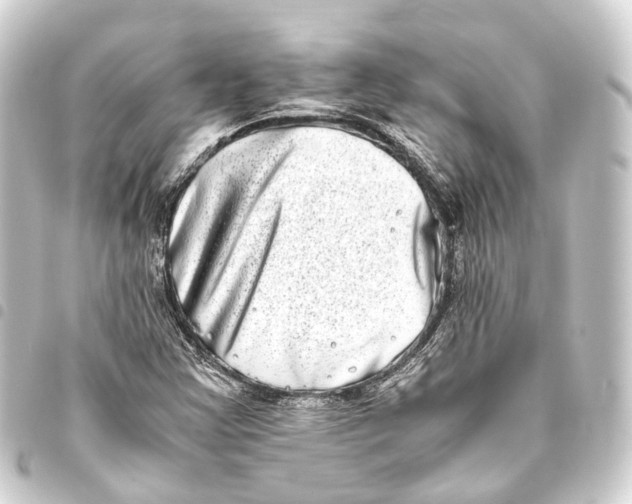 X0000093461355200711021126