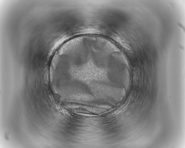 X0000093461358200711021126