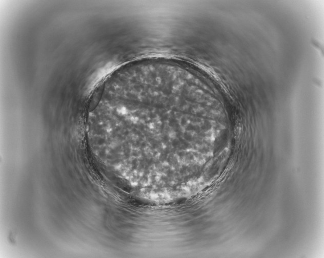 X0000093461359200711021126