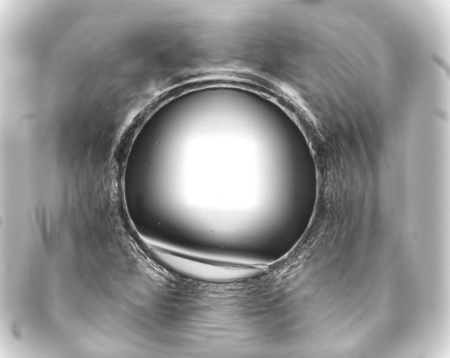 X0000093461360200711021126