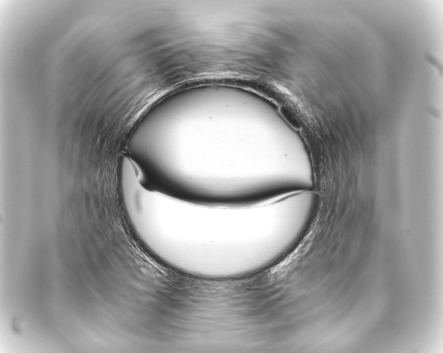 X0000093461361200711021126