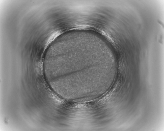 X0000093461362200711021126