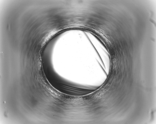 X0000093461363200711021126