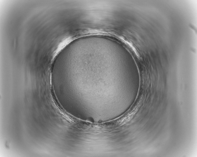 X0000093461365200711021126