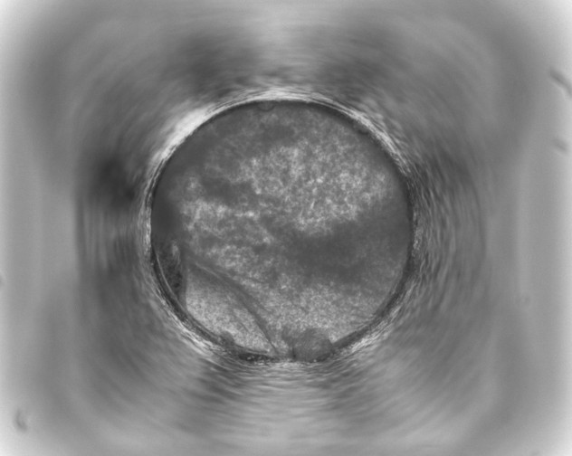 X0000093461367200711021126