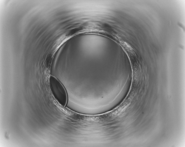 X0000093461369200711021126