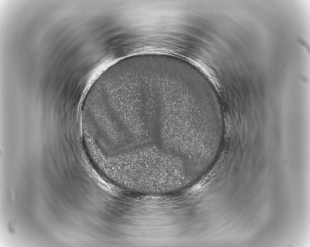 X0000093461371200711021126