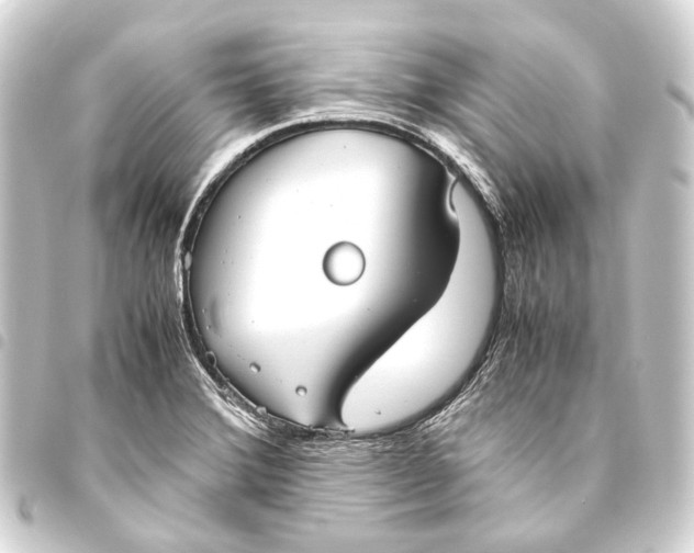 X0000093461372200711021126