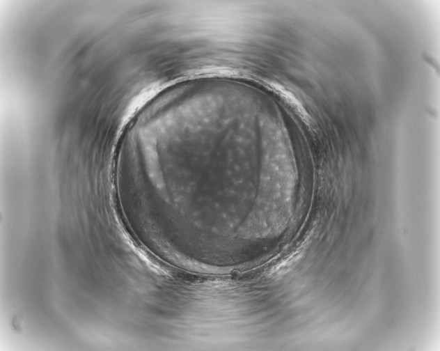 X0000093461373200711021125