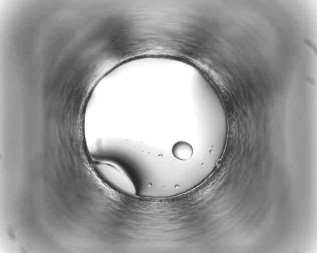 X0000093461375200711021125