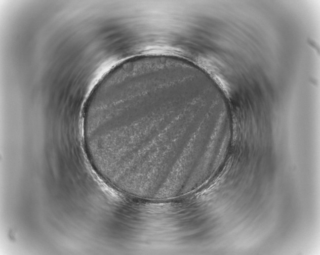 X0000093461376200711021125