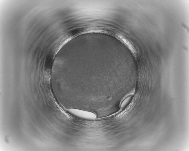 X0000093461377200711021125