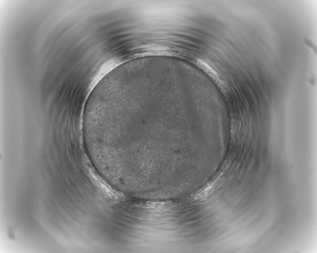 X0000093461378200711021125