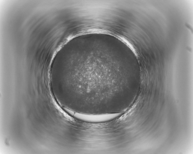 X0000093461381200711021125