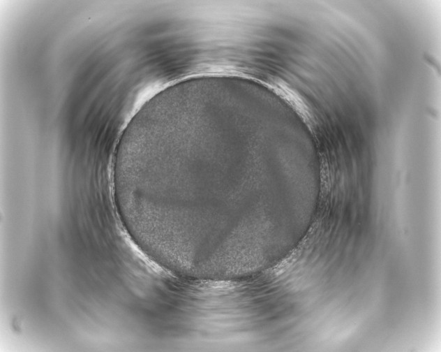 X0000093461382200711021125