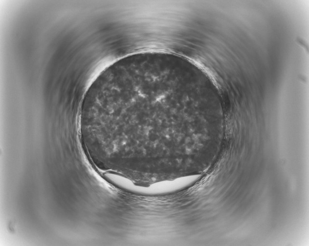 X0000093461383200711021125