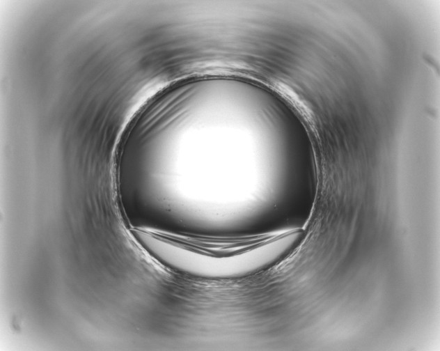 X0000093461384200711021125