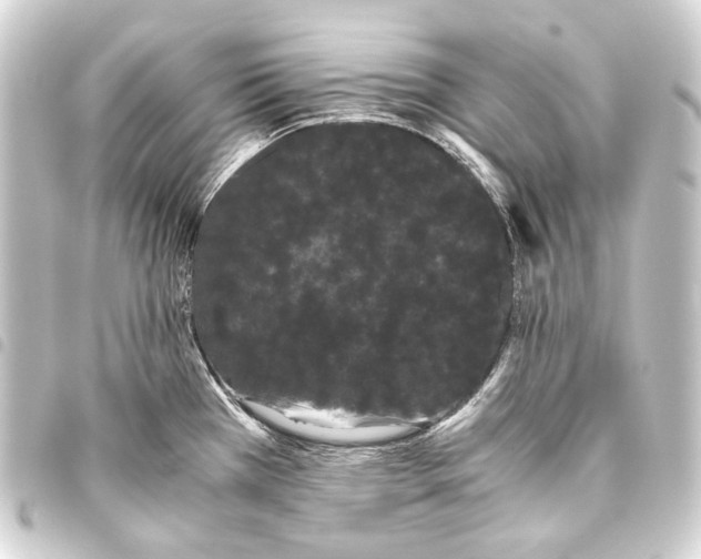 X0000093461385200711021125