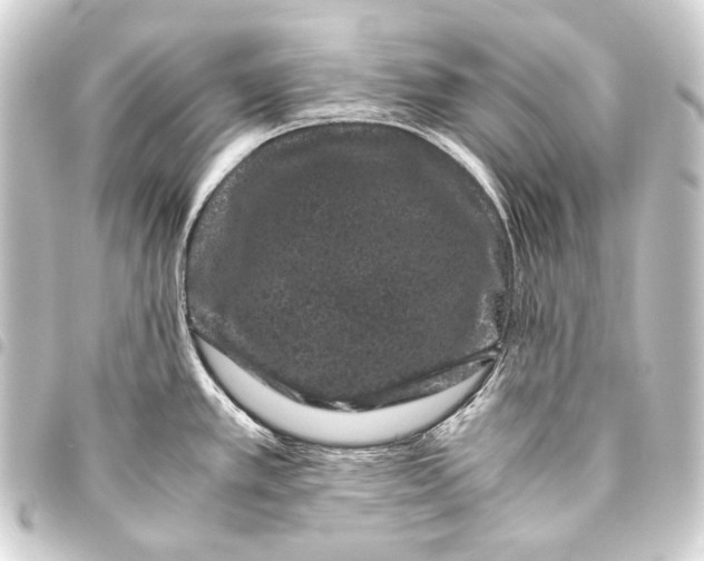 X0000093461389200711021125