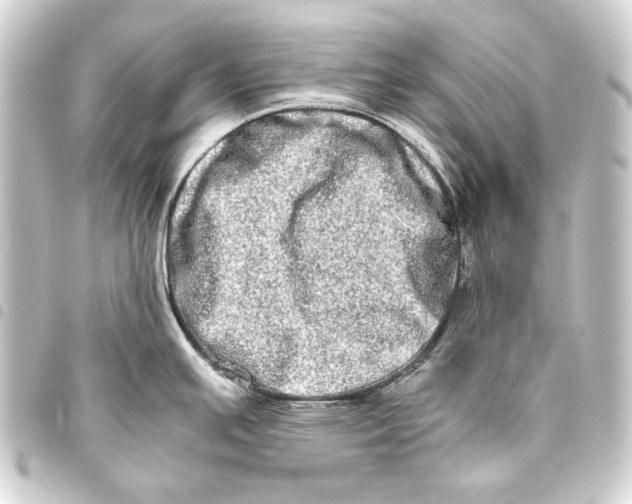 X0000093461391200711021125