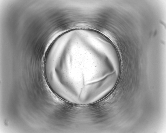 X0000093461392200711021125